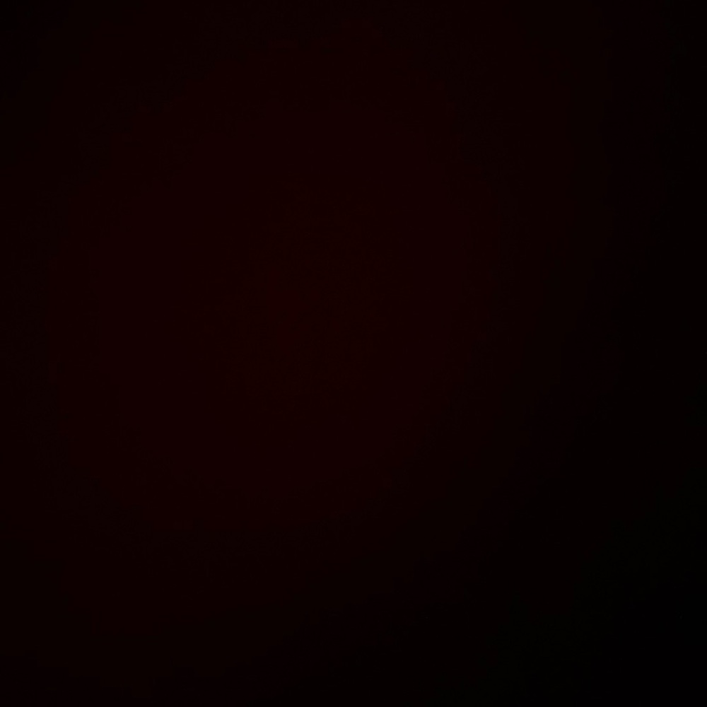 Meet your Posher, Leticia